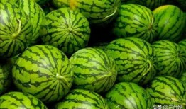 广东小网红吃外卖瓜,美食瓜分快乐时光